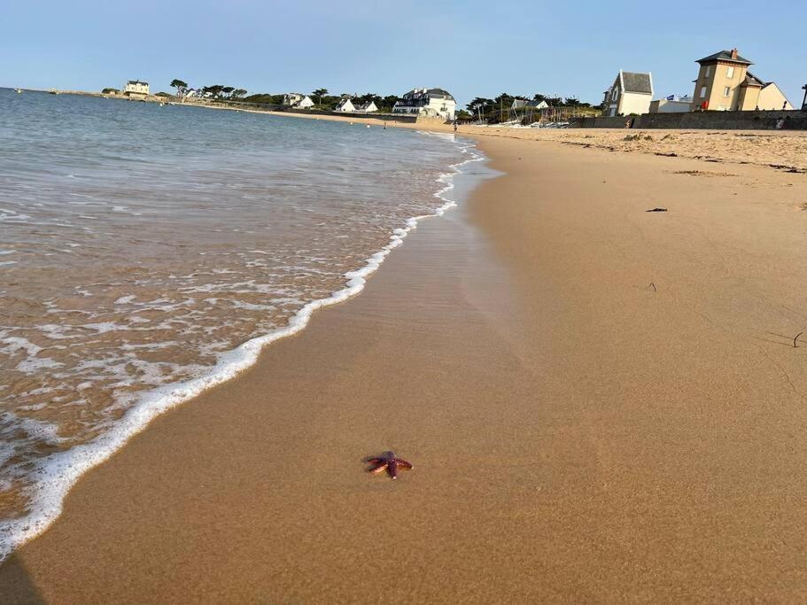 Unique ! Acces Direct A La Plage ! Duplex Avec Grand Solarium Batz-sur-Mer Extérieur photo